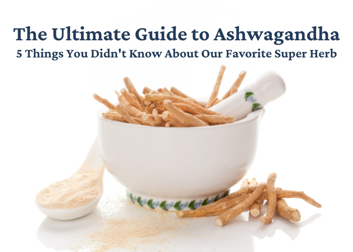 The Ultimate Guide to Ashwagandha - 5 Things You Didn't Know About Our Favorite Super Herb