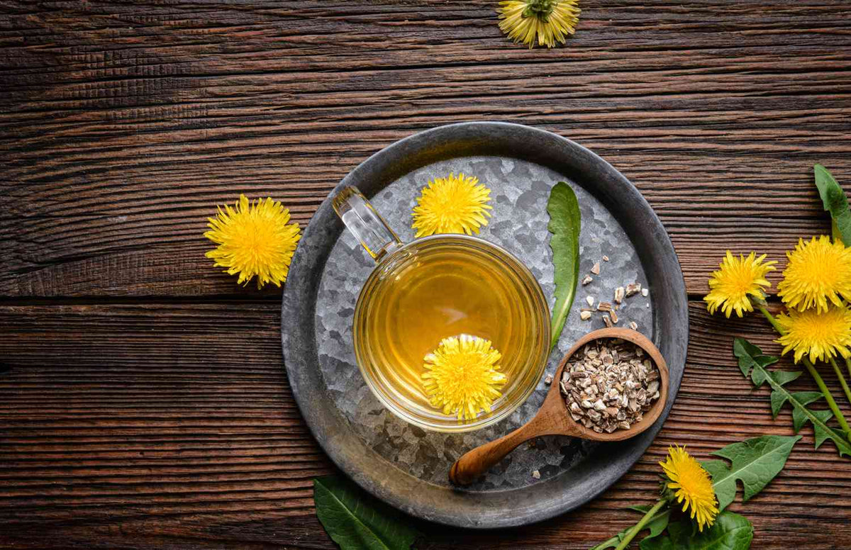 Unveiling the Golden Treasure: The Timeless Elixir of Dandelion Root i ...