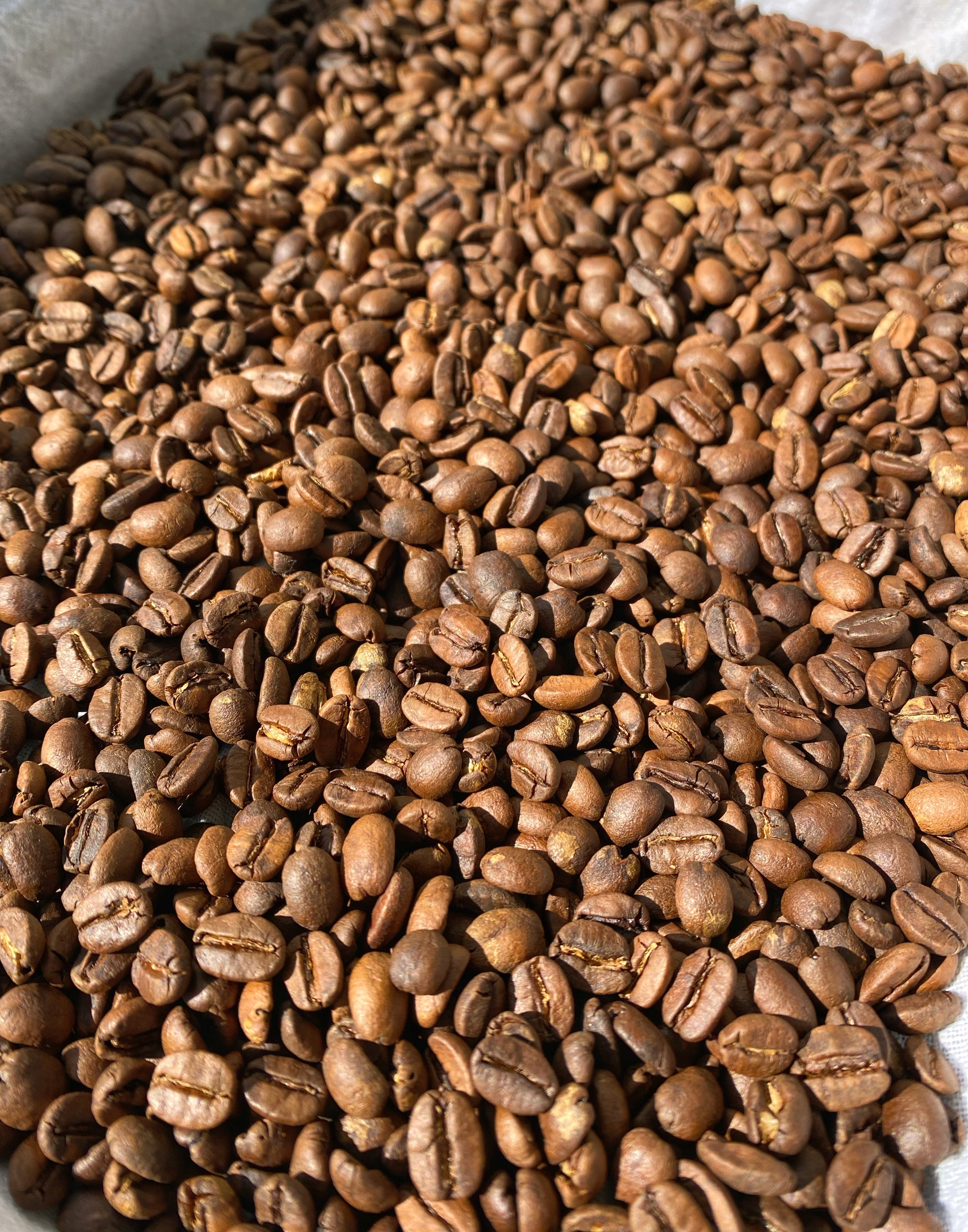 Ground Coffee with Ashwagandha + Cacao: Balanced